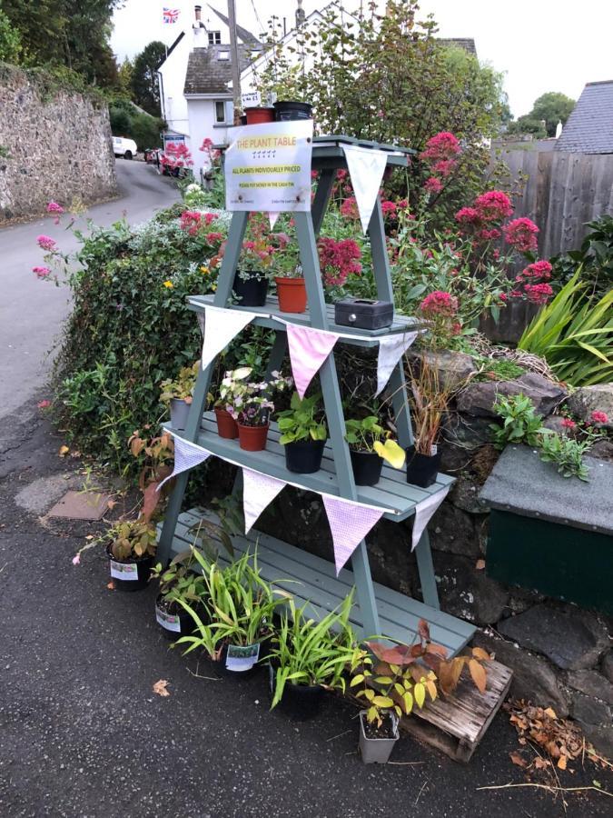 Down The Garden Path Vintage Caravan B&B , Dartmoor Newton Abbot Exterior photo